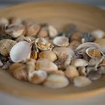 Sale E Sabbia Oda ve Kahvaltı Trapani